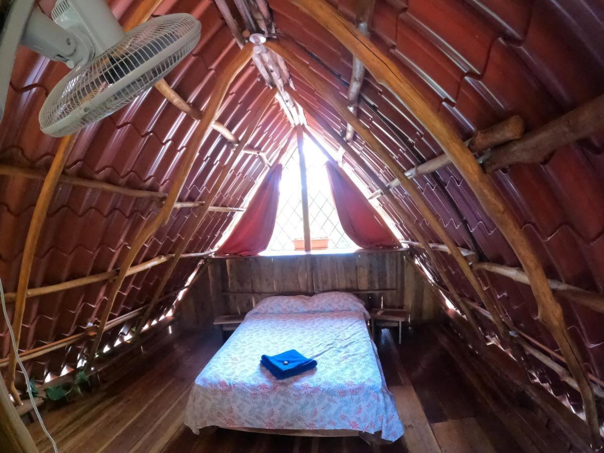 Tree House Samanea Lodge Πουέρτο Λιμόν Εξωτερικό φωτογραφία
