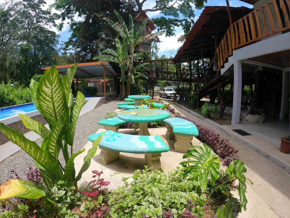 Tree House Samanea Lodge Πουέρτο Λιμόν Εξωτερικό φωτογραφία