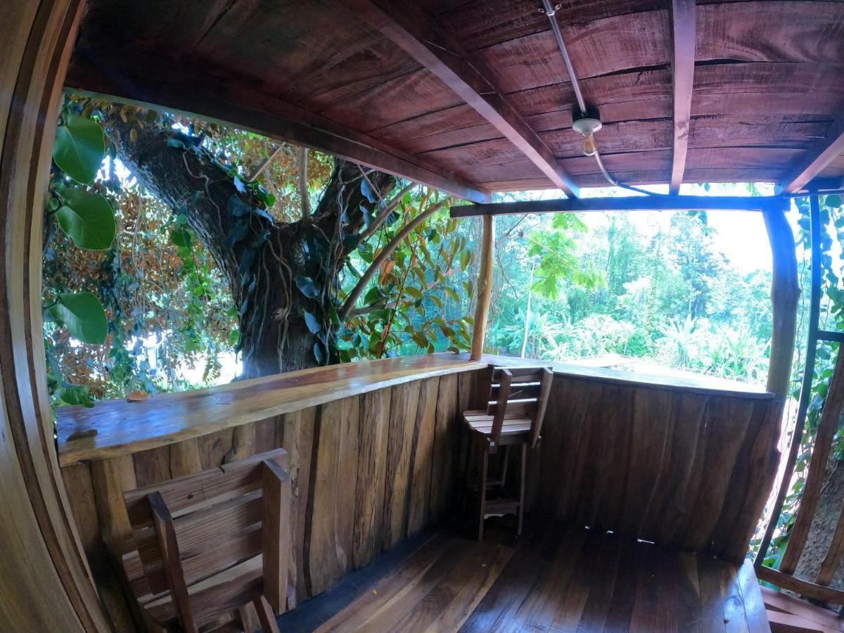 Tree House Samanea Lodge Πουέρτο Λιμόν Εξωτερικό φωτογραφία