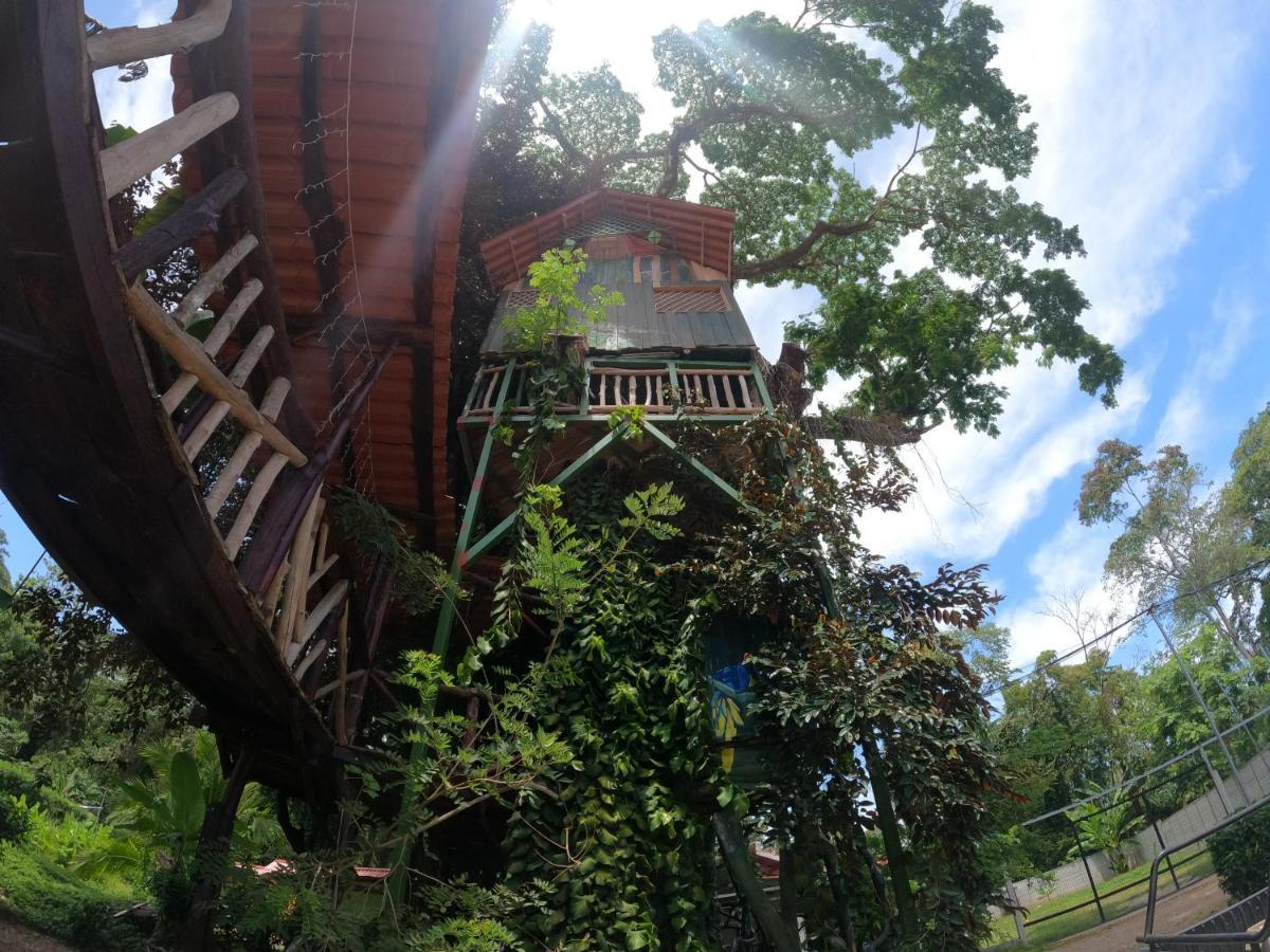 Tree House Samanea Lodge Πουέρτο Λιμόν Εξωτερικό φωτογραφία