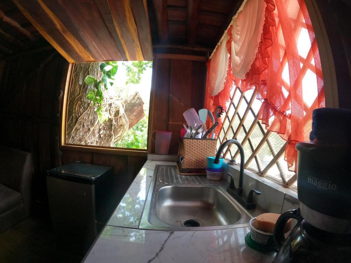 Tree House Samanea Lodge Πουέρτο Λιμόν Εξωτερικό φωτογραφία