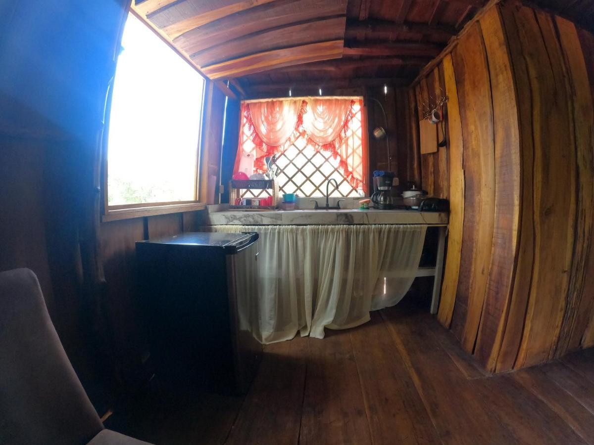 Tree House Samanea Lodge Πουέρτο Λιμόν Εξωτερικό φωτογραφία